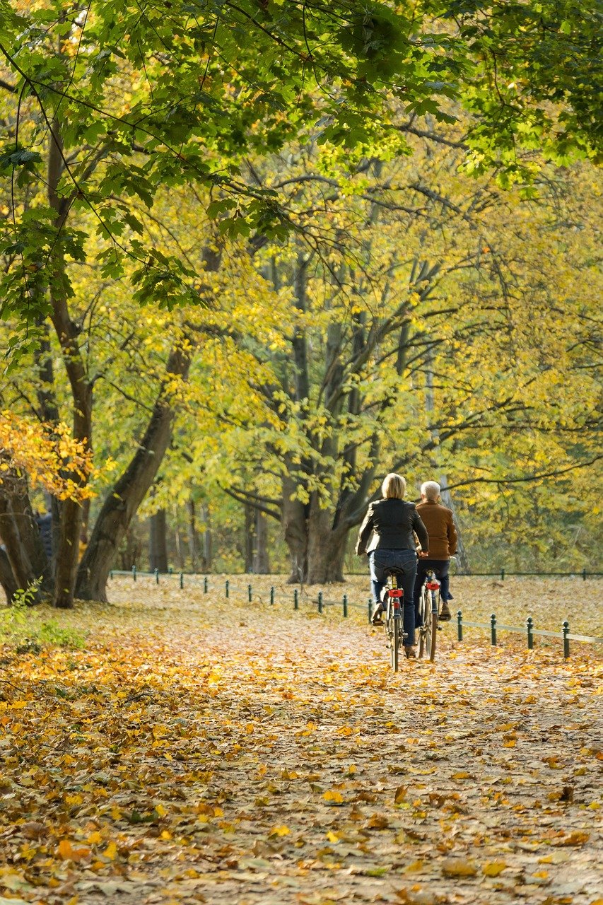 park, nature, cycling, bicycle, leisure, autumn, leaves, trees